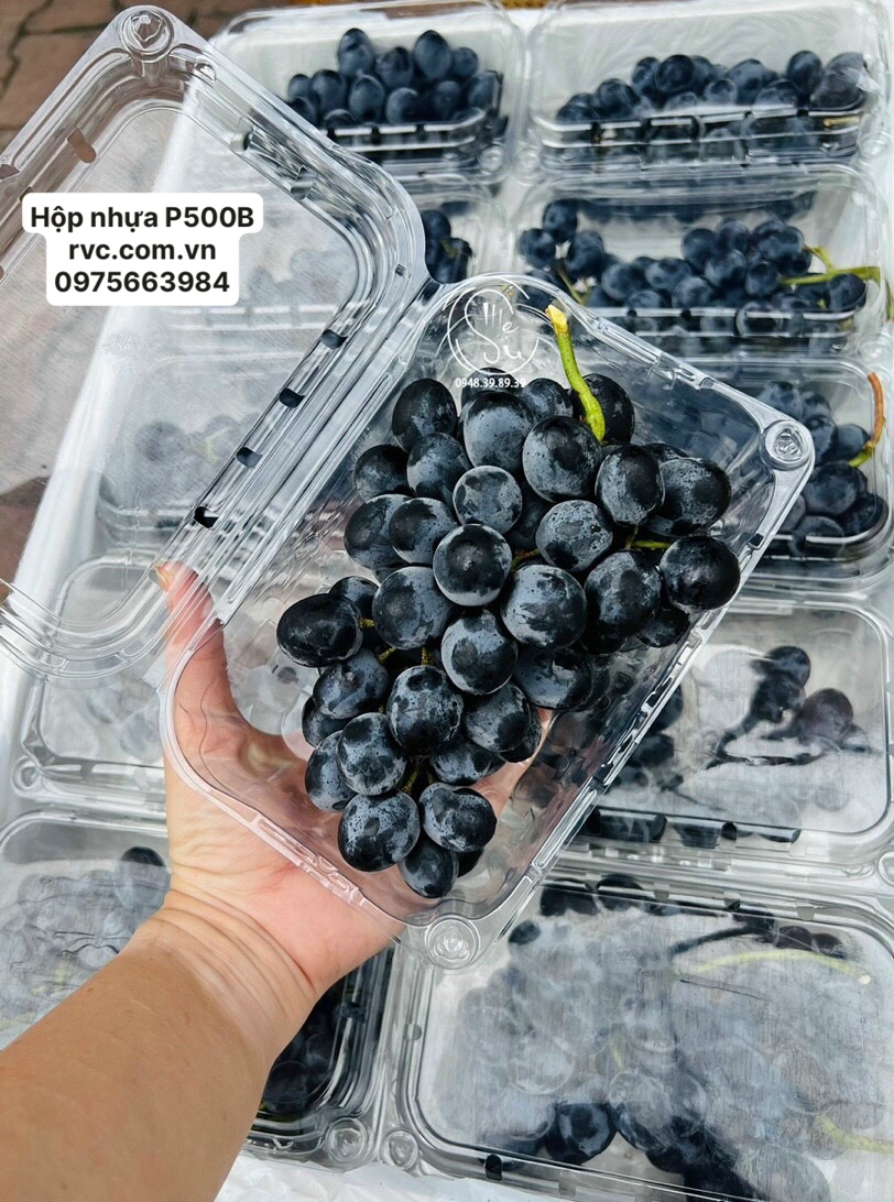 Hộp nhựa trái cây