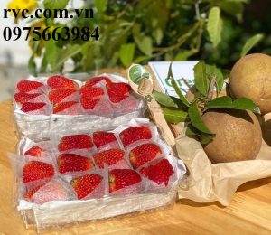 Hộp nhựa đựng dâu tây