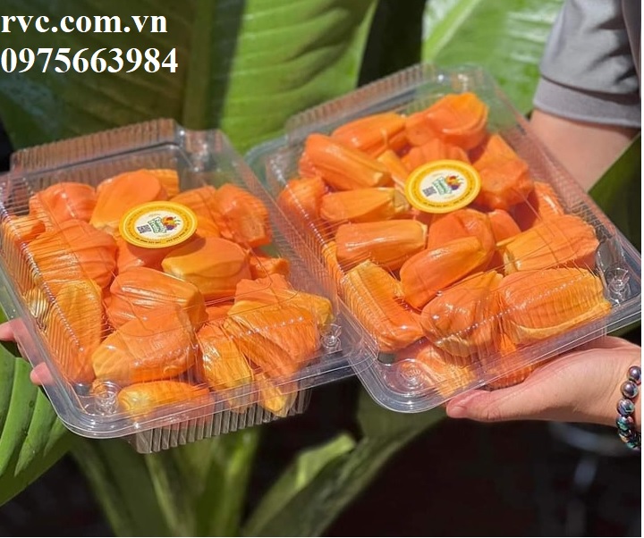 Hộp đựng trái cây cắt sẵn