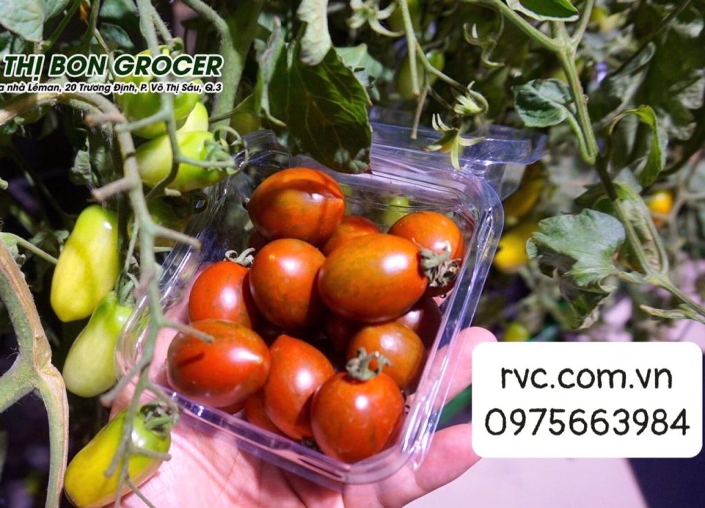 Hộp nhựa trái cây P250A