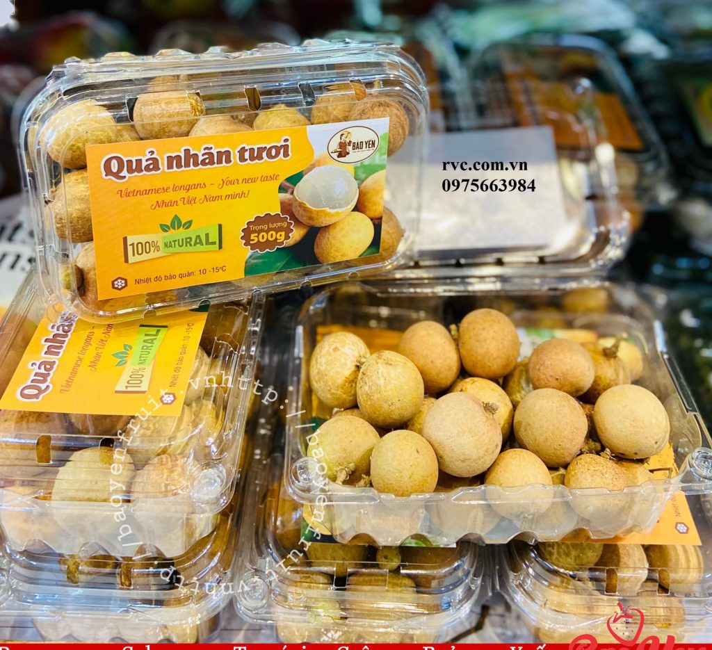 Hộp đựng trái cây 500g