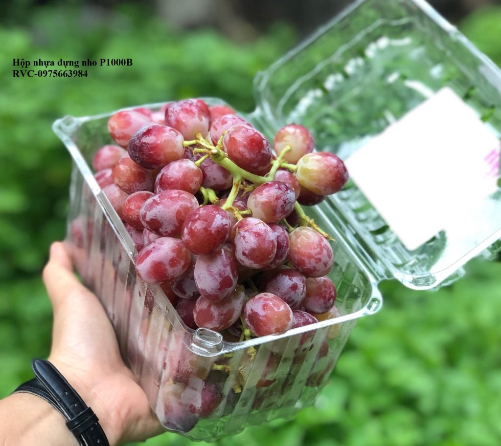 Hộp nhựa trái cây 1kg P1000B