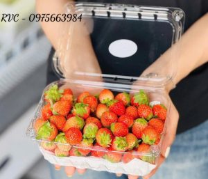 Hộp nhựa trái cây 500g