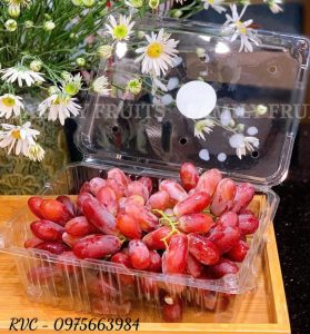 Hộp nhựa trái cây