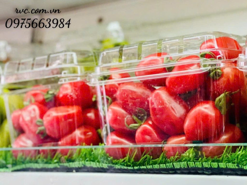 Hộp đựng trái cây 500g