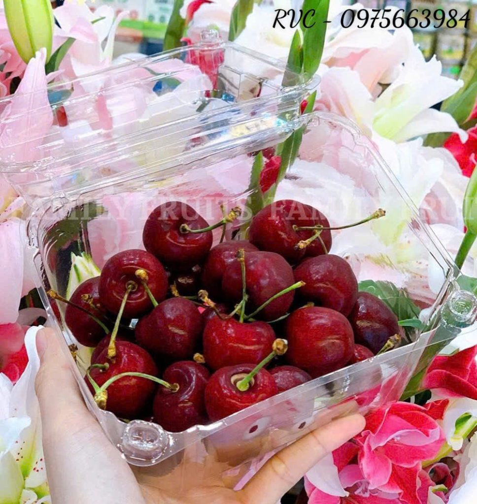 Hộp nhựa trái cây P500D
