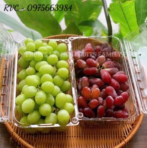Hộp nhựa trái cây P1000A