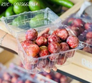 Hộp nhựa đựng trái cây P1000B