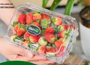 Hộp nhựa trái cây P5000B