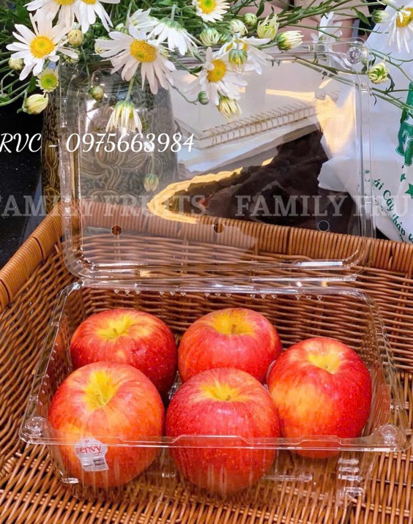Hộp nhựa đựng trái cây P2000