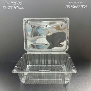 Hộp nhựa đựng trái cây P2000