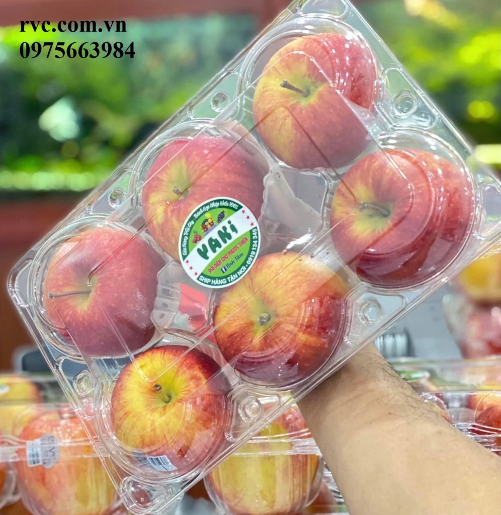 Hộp nhựa đựng 6 trái táo