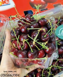 Hộp nhựa trái cây P500D