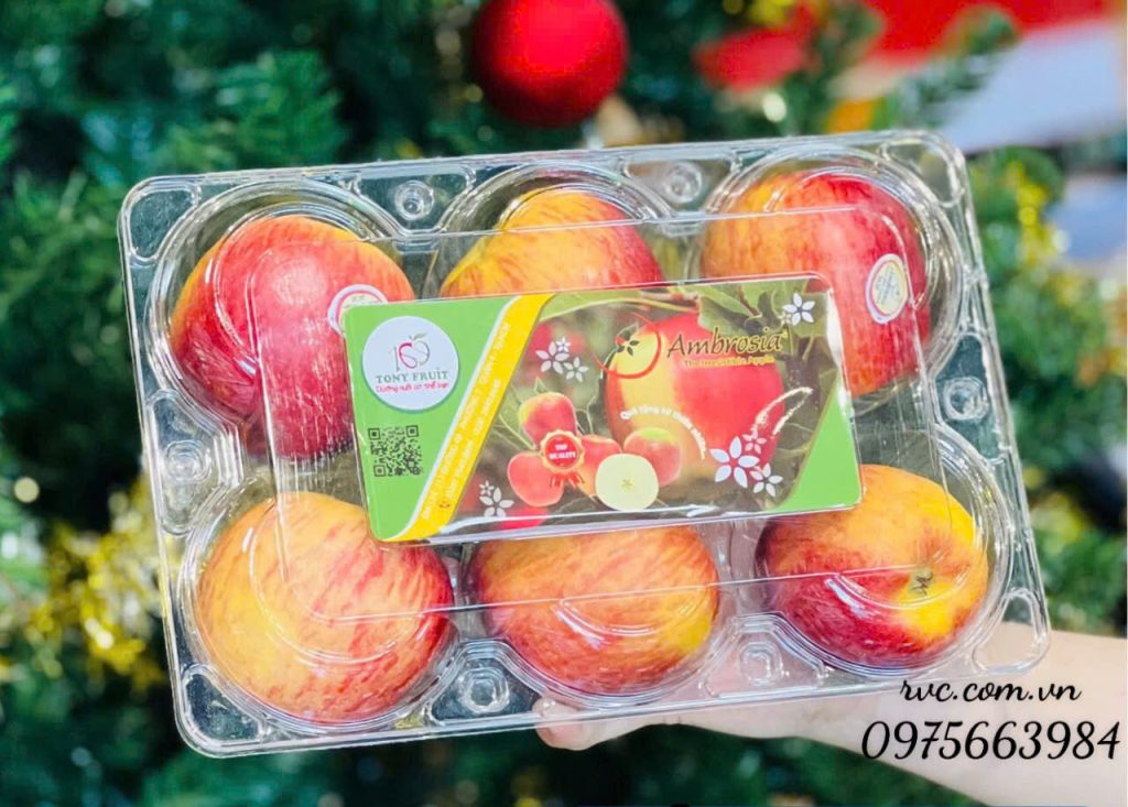 Hộp nhựa đựng 6 trái táo