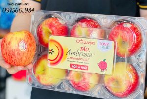 Hộp nhựa đựng 6 trái táo