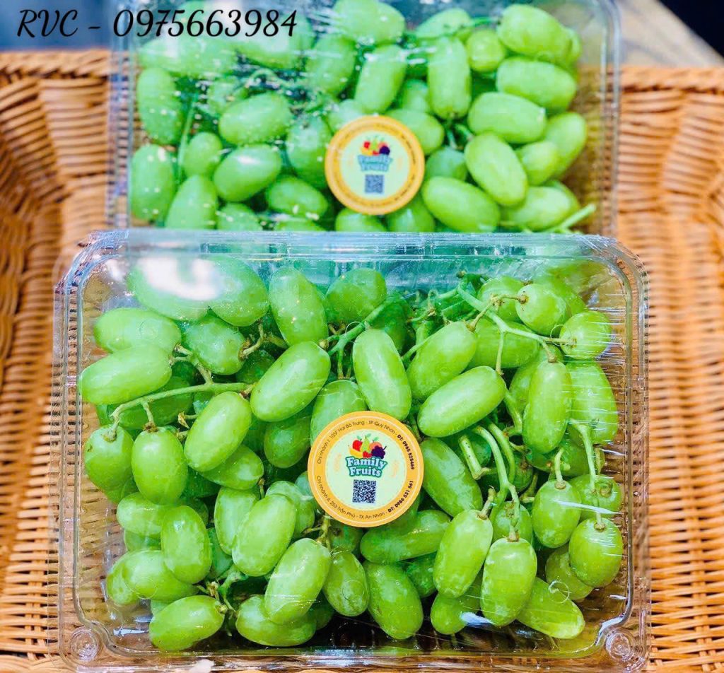 Hộp nhựa đựng trái cây P2000
