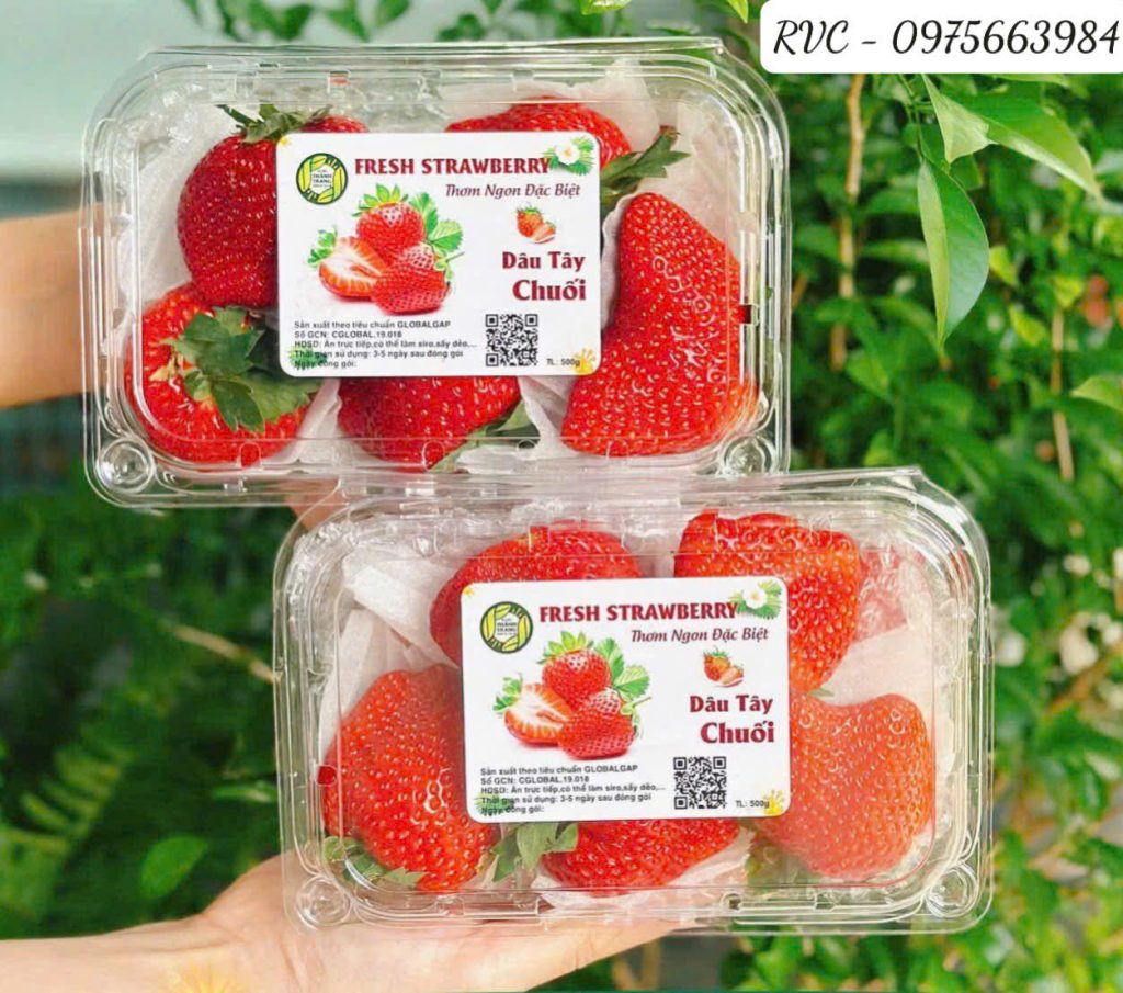 Hộp nhựa đựng trái cây