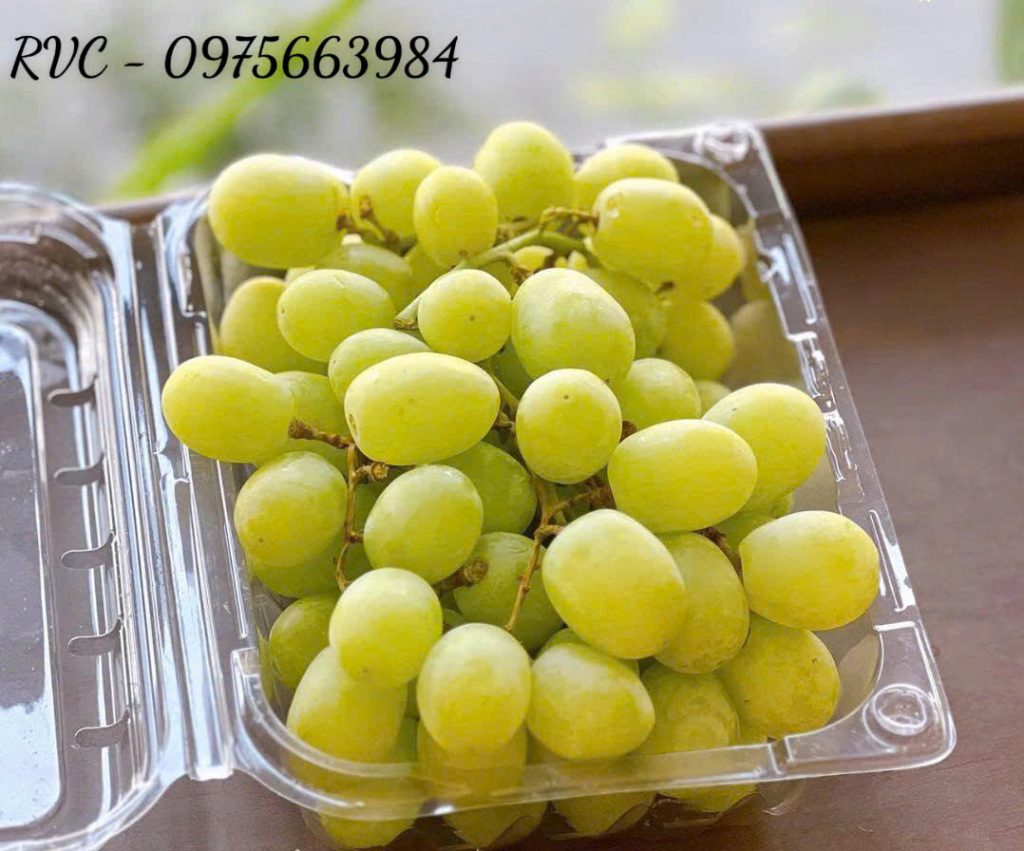 Hộp nhựa đựng trái cây 500g