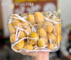 Hộp nhựa đựng trái cây P1000B
