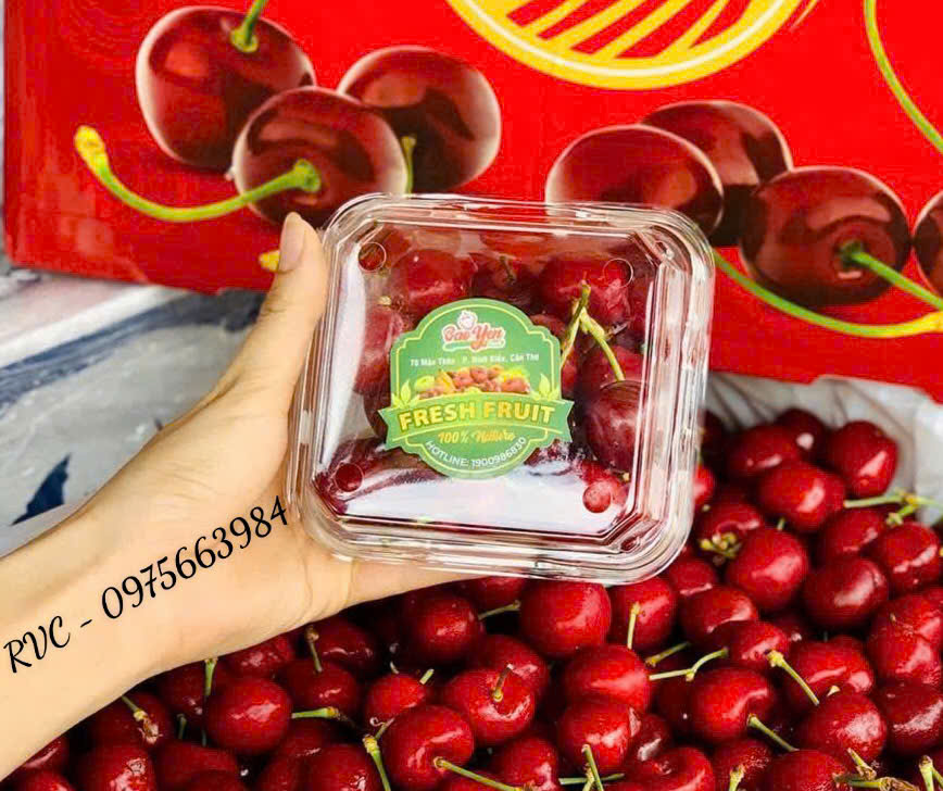 Hộp nhựa trái cây P250A