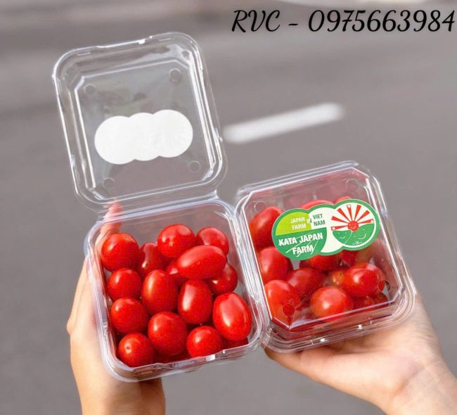Hộp nhựa trái cây P250A