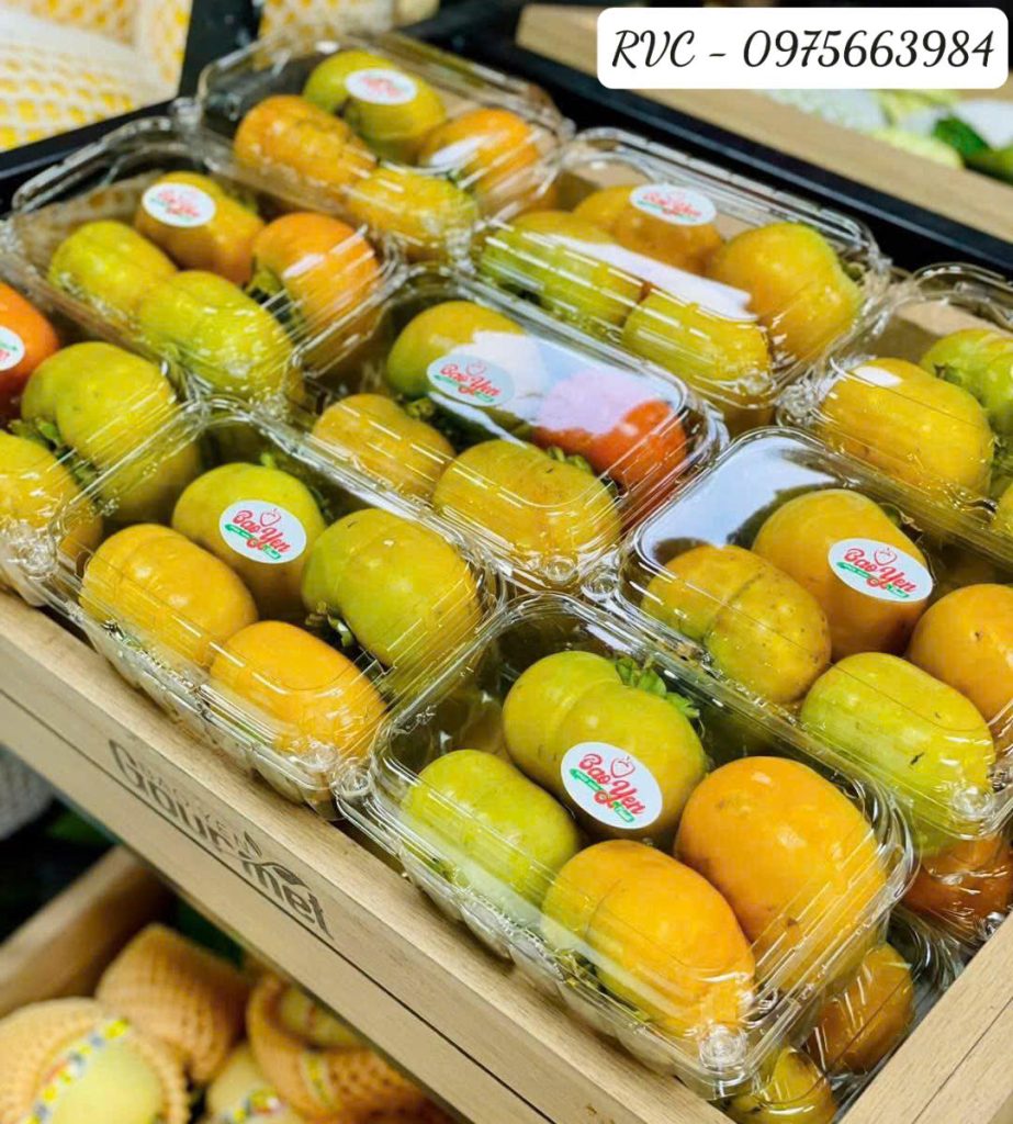 Hộp nhựa trái cây P500B 