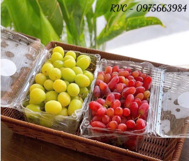 Hộp nhựa trái cây