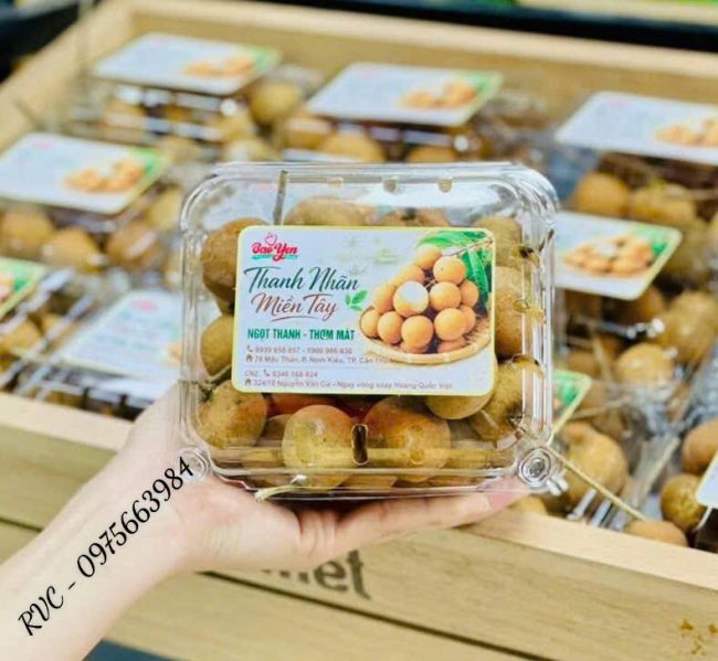 Hộp nhựa trái cây P500D