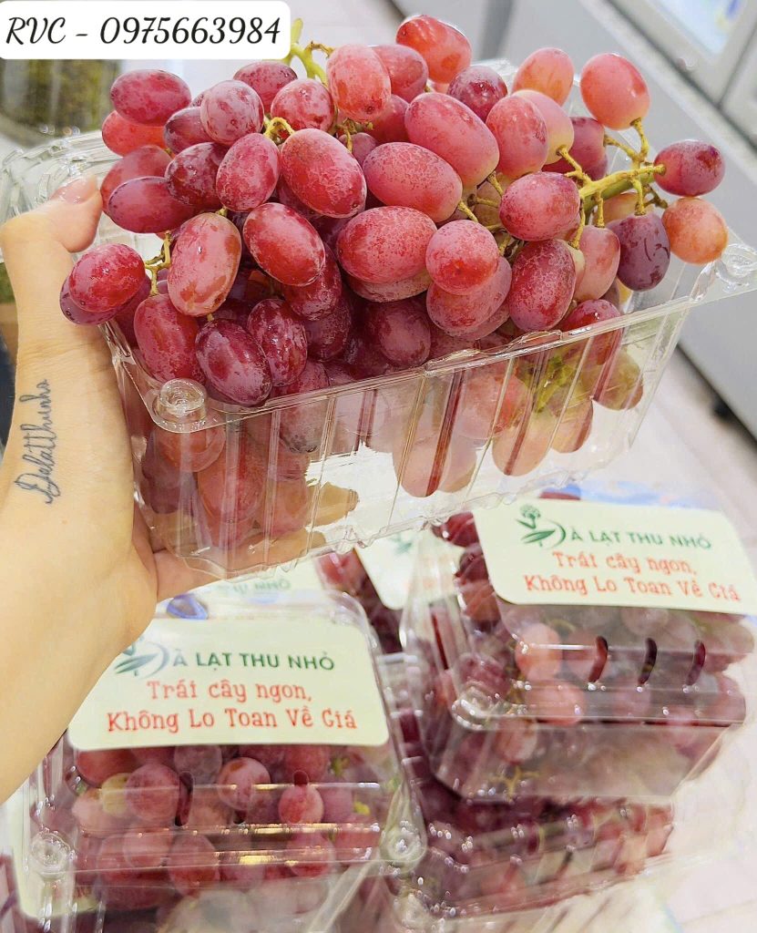 Hộp nhựa trái cây P1000B