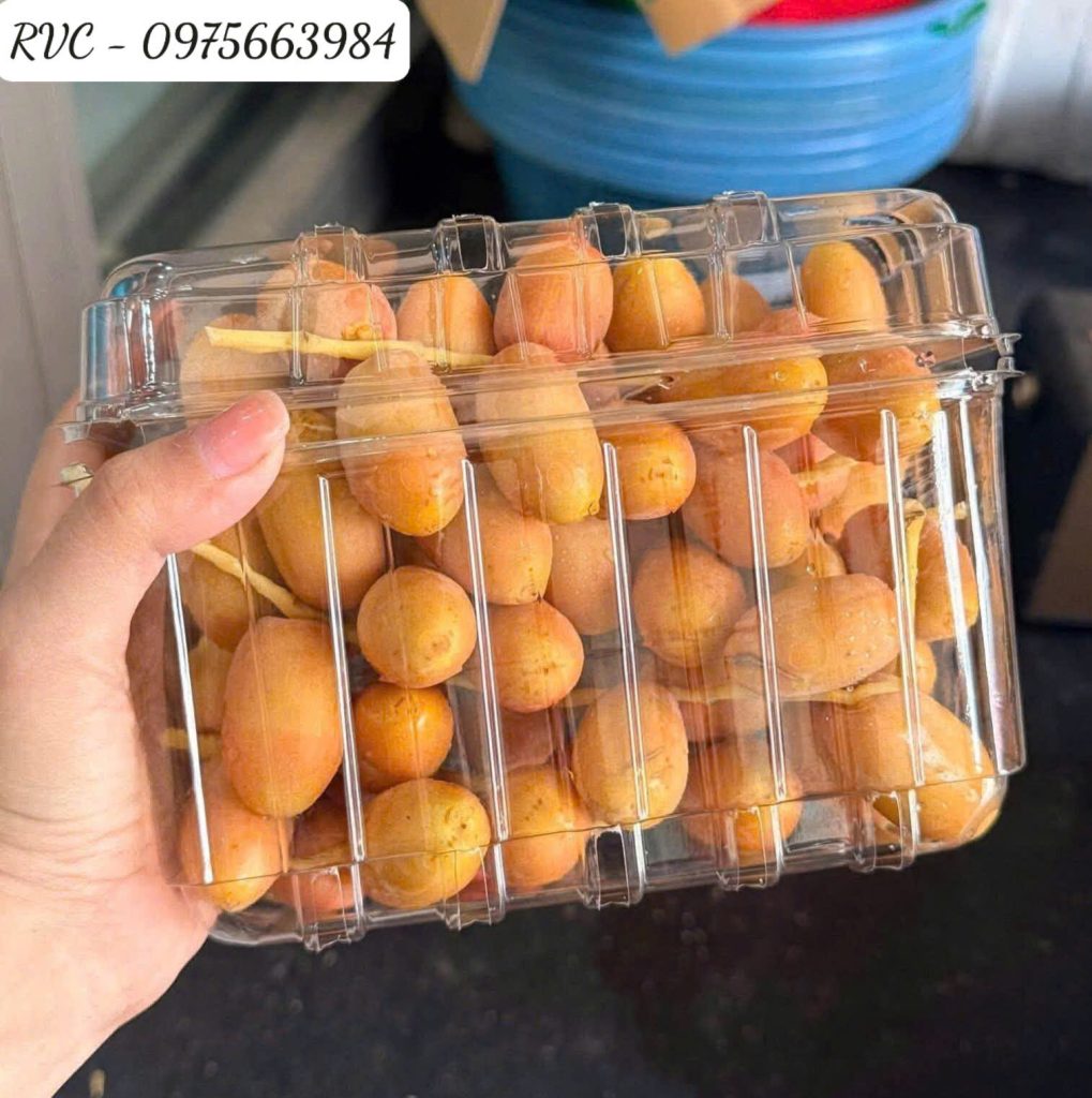 Hộp nhựa trái cây P1000B