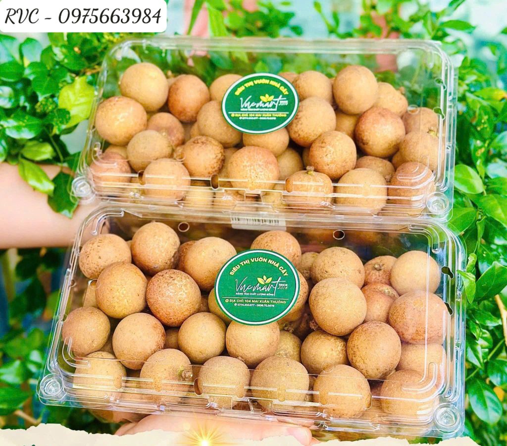 Hộp nhựa trái cây P1000A