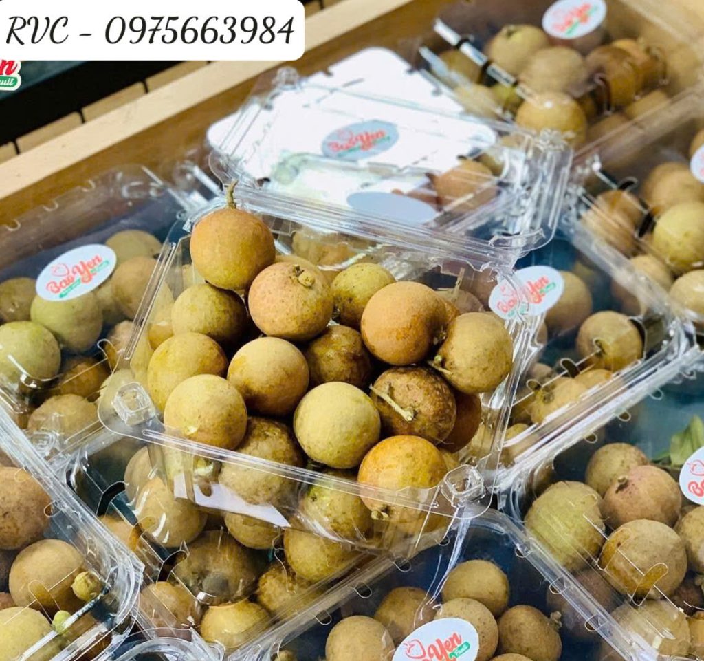 Hộp nhựa trái cây 500g