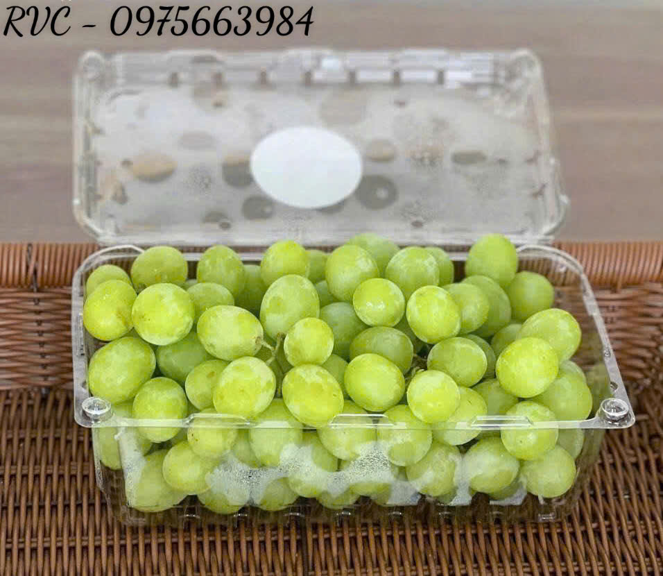 Hộp nhựa trái cây P1000A