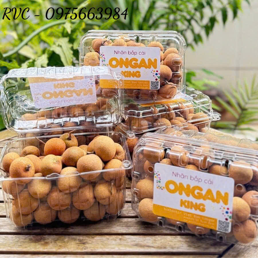 Hộp nhựa trái cây P1000B