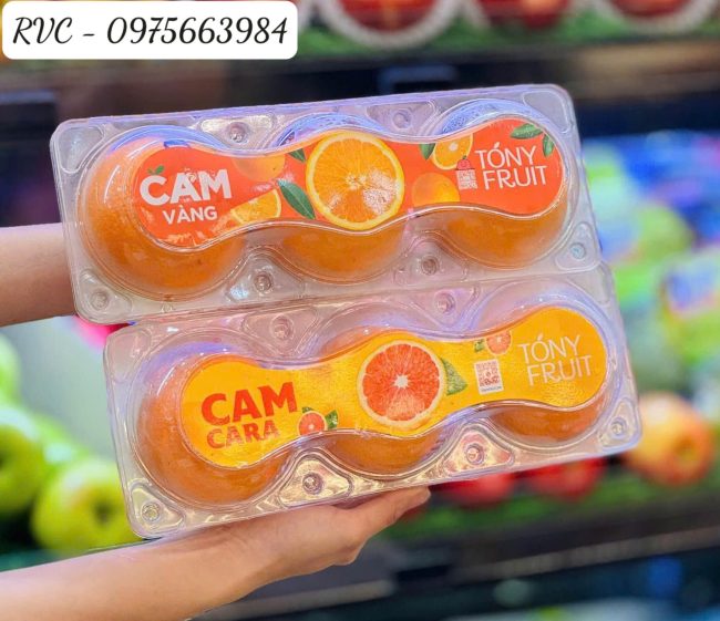 Hộp nhựa đựng 3 trái táo, cam
