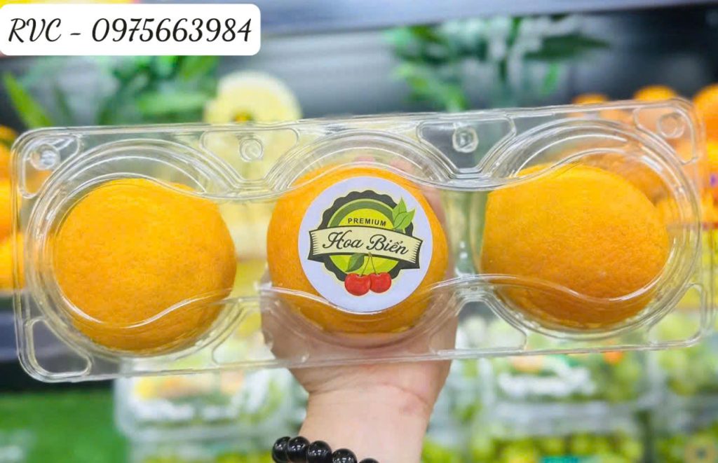 Hộp nhựa đựng 3 trái táo, cam