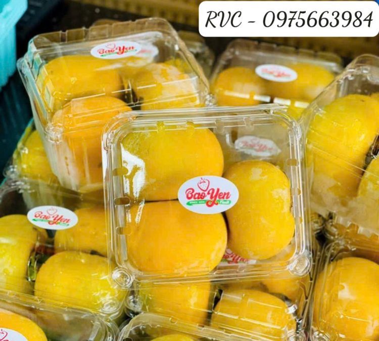 Hộp nhựa trái cây 500g