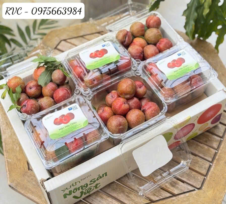 Hộp nhựa trái cây P500D