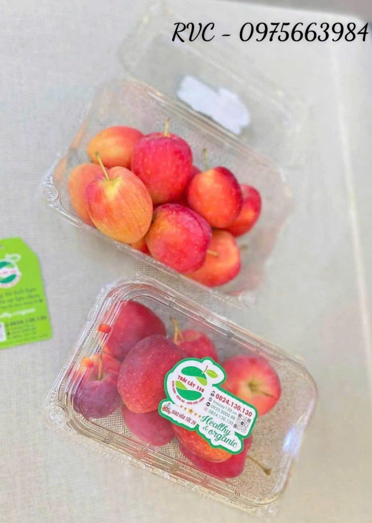 Hộp nhựa trái cây